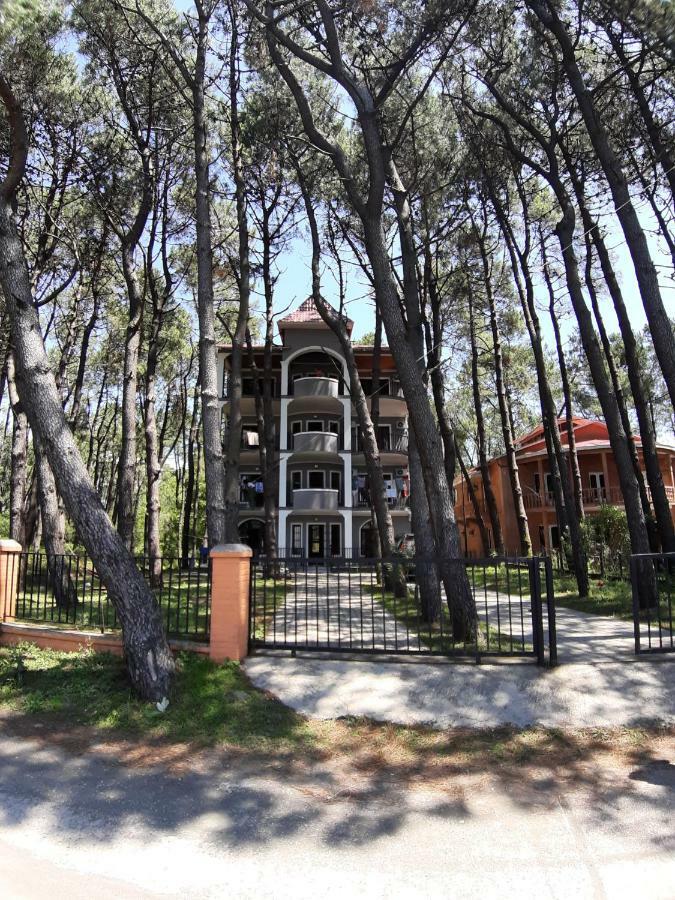 Hotel Niko Shekvetili Extérieur photo